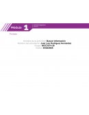 Actividad: Buscar información