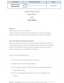 Análisis empresarial “SpotaHome”