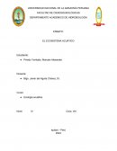 Ensayo sobre el ecosistema acuático