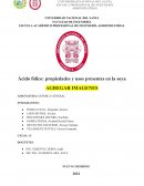 Ácido fólico: propiedades y usos presentes en la soya