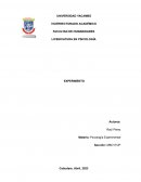 Experimento Condiciones ambientales