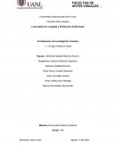 Fundamentos de investigación Creación