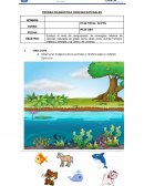 Prueba diagnóstica Ciencias naturales