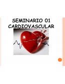 Sistema cardiovascular. Discusión seminarial