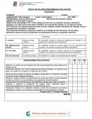 Pauta de valoración / Primera evaluación “Insignia”