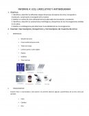 Informe 4: Eco, urocultivo y antibiograma