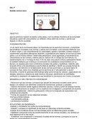 Proyecto concejo escolar