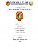 Método gravimétrico volatilización