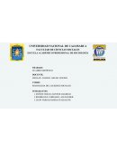 Sociologia de las redes sociales