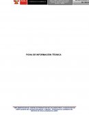 Ficha de información técnica