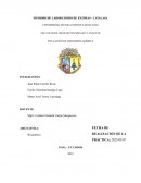 Informe de enzimas-catalasa