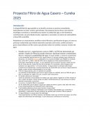 Proyecto filtro de agua casero