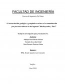 Caracterización geológica y geoquímica en base a la contaminación por procesos mineros en las lagunas Chinchaycocha y Paca