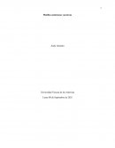 Recetas innovadoras yucatecas