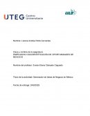 Generación de Ideas de negocio en México
