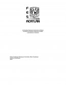 Derecho empresarial. Marcas