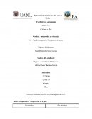 Cuadro comparativo Perspectiva de la paz