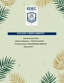 Ecología y medio ambiente. Componentes del Medio Ambiente