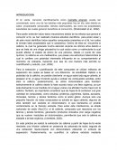 Práctica Extracción de cafeína presente en hojas de té verde