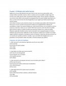 Resumen y prueba de Misterio del Jardín Secreto
