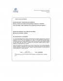 Tabla comparativa de las etapas del desarrollo cognitivo