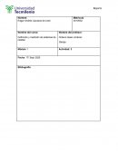 Definición y medición de sistemas de calidad. Diagrama de Ishikawa