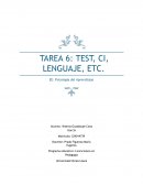 ¿Qué es el CI (Coeficiente Intelectual)?