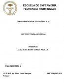 Desarrollo de la enfermeria comunitaria en Mexico