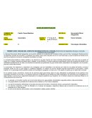 Plan analítico lenguajes tercer trimestre