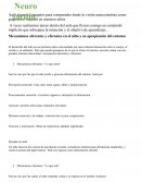 Neuro jardin. Ejemplo en aula