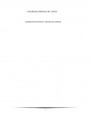 La violencia en el Peru