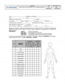 Encuesta de sintomas a los trabajadores