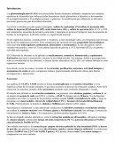 Dermatan sulfato