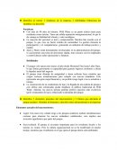 Wild Water. Fortalezas y debilidades. Elementos actuales del macroentorno