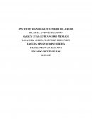 Practica 2 “Investigación”