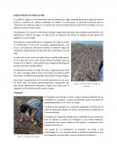 Implementación de cintilla de riego