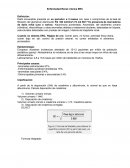 Enfermedad Renal Crónica ERC