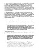 La partenogénesis. Teorías del origen de la partenogénesis