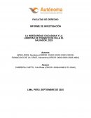La inseguridad ciudadana y la libertad de tránsito en villa El Salvador