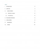 Examen coproparasitológico directo