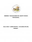Deberes y obligaciones del equipo tecnico profesional