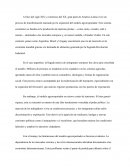 Inmigración argentina