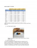 Biologia practica. Azucares reductores