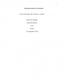 Maravillas modernas: El ordenador. Ensayo documental sobre su historia y evolución