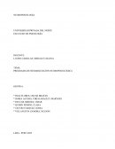 Programa de rehabilitación neuropsicológica