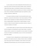 La importancia fundamental de la ciencia para la sociedad contemporánea