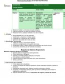 Pauta de evaluación: ¡Mi sistema respiratorio!