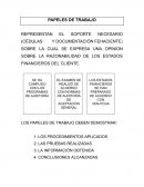 Papeles de trabajo. Técnicas de auditoría