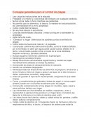 Consejos generales para el control de plagas