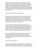 Beneficios de la microbiota en la salud del deportista